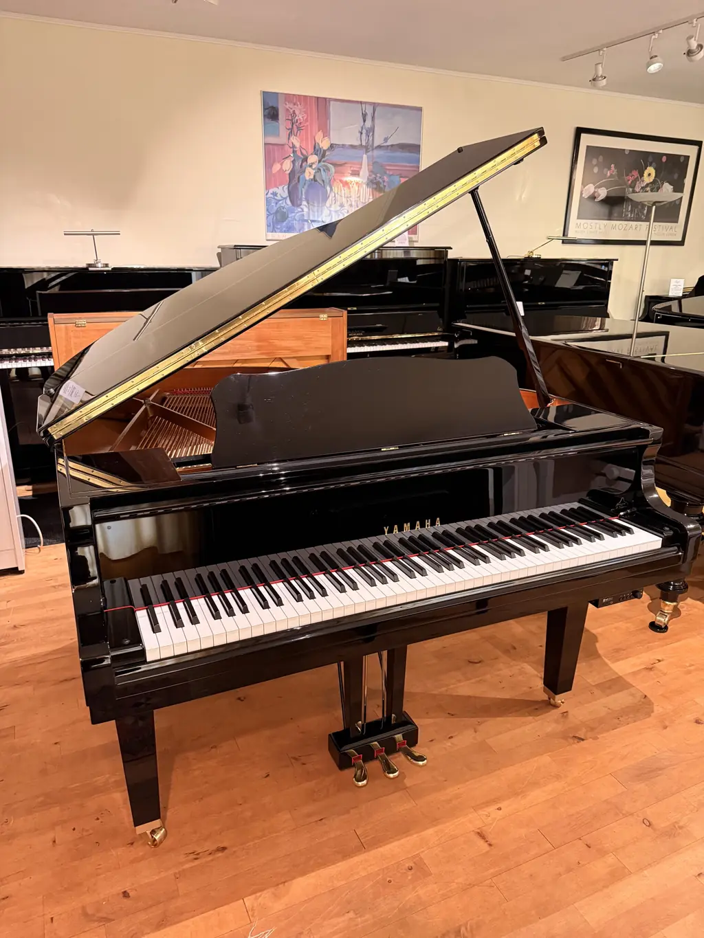 Yamaha GB1 (mit Ad Silent Einbau)