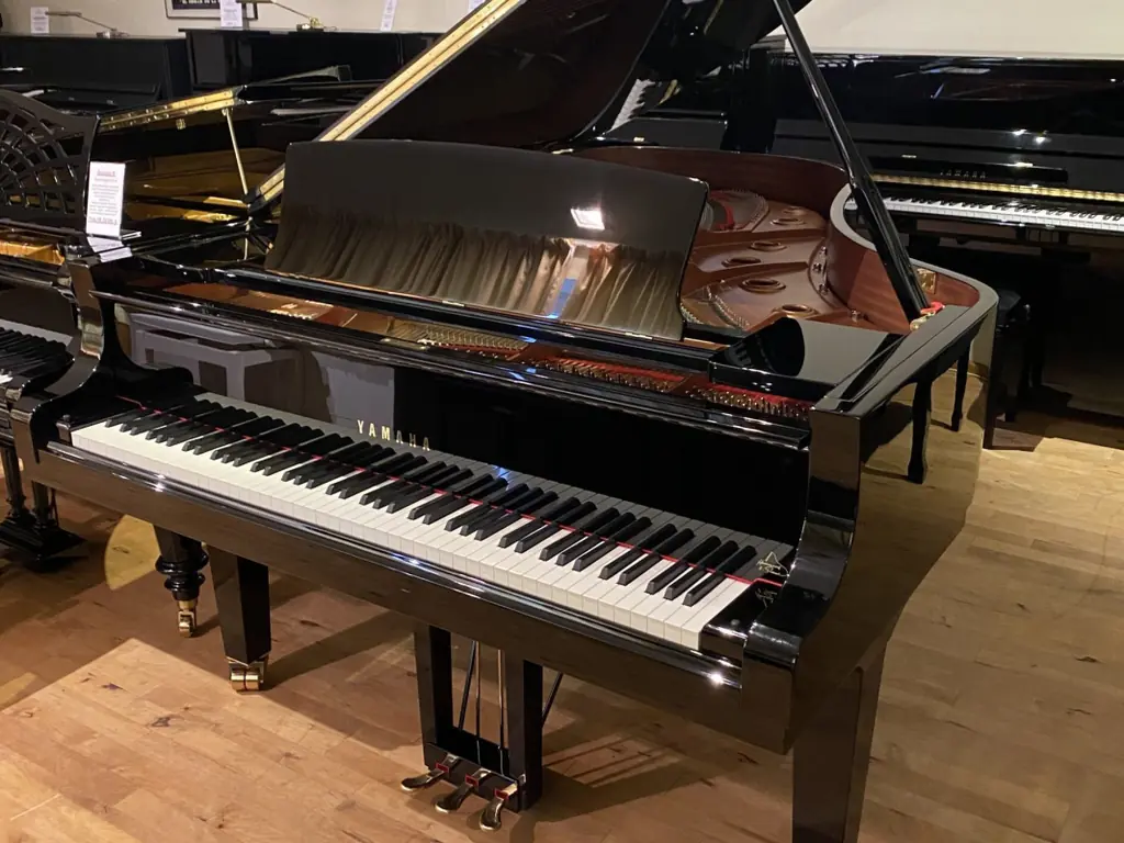 Yamaha C6 X Pe