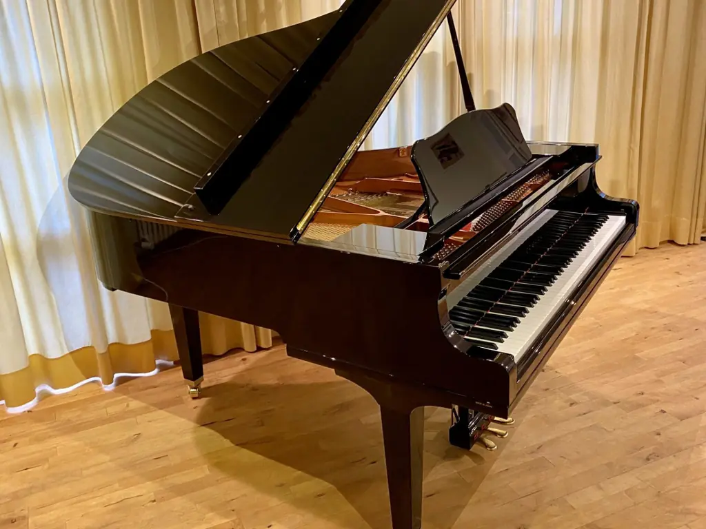 Yamaha GC2