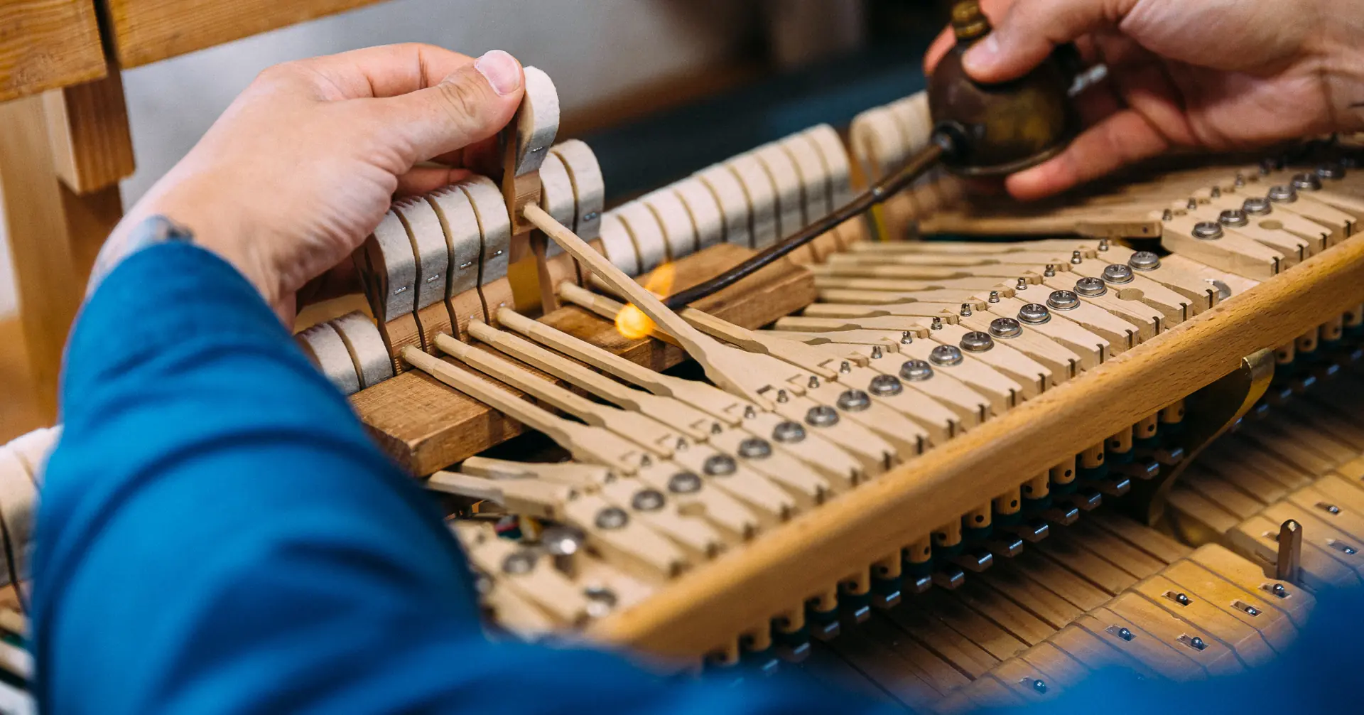 Pflege und fachkundige Beratung