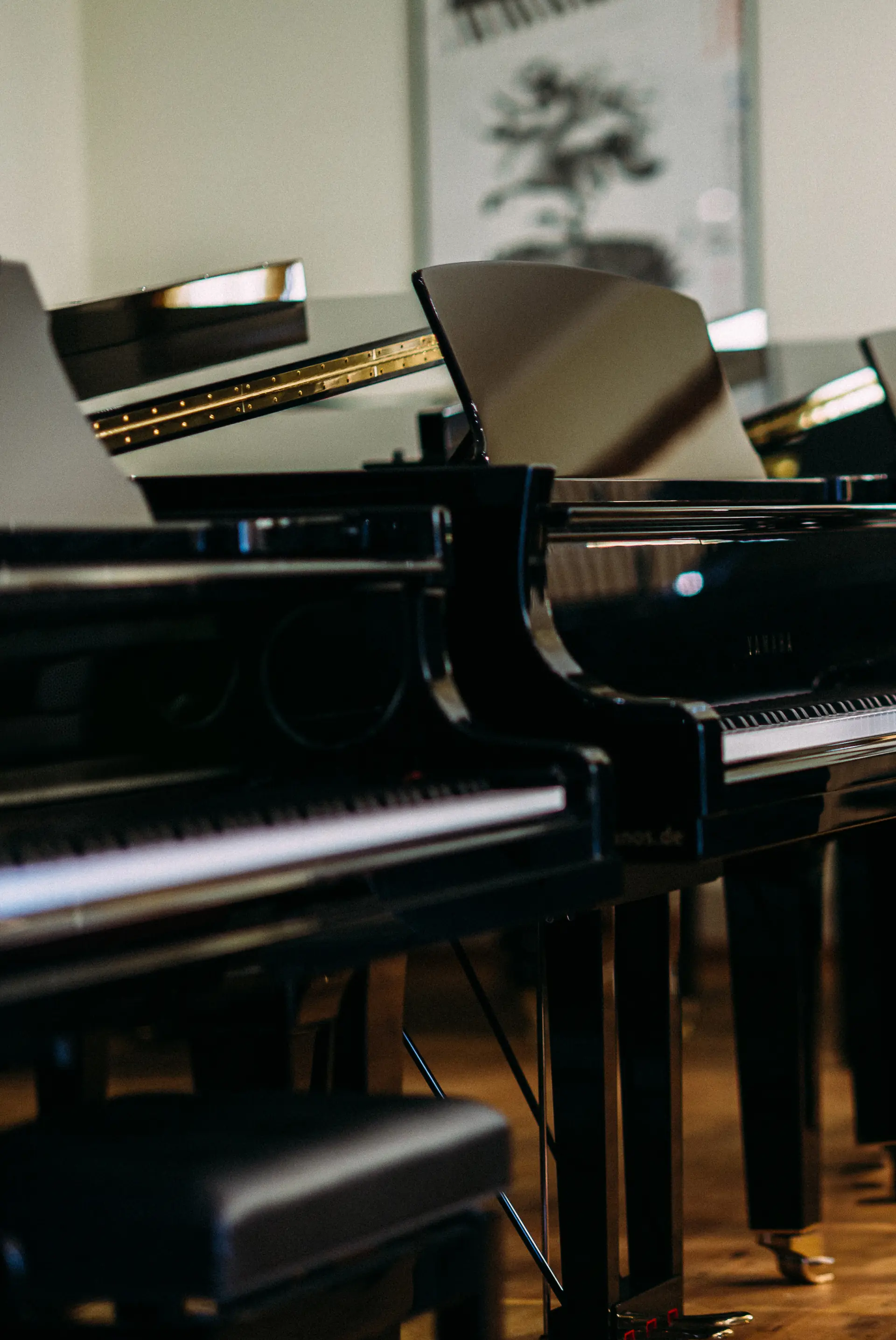 Pianos und Flügel im Ausstellungsraum bei Hemmerich Pianos
